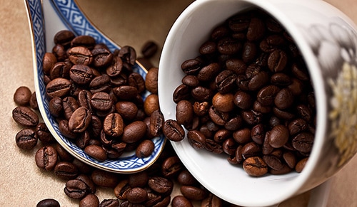 arabica or robusta, what's the difference